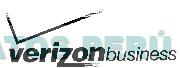 V VERIZON BUSINESS
