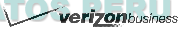 V VERIZON BUSINESS