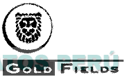GOLD FIELDS