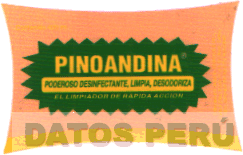 PINOANDINA