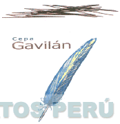 CEPA GAVILAN