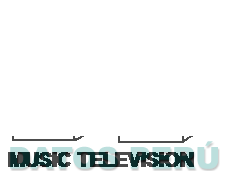 MTV MUSIC TELEVISION