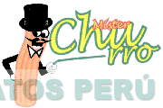 MISTER CHURRO