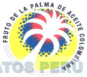 FRUTO DE LA PALMA DE ACEITE COLOMBIANA