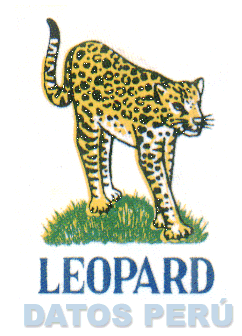 LEOPARD