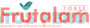 FRUTALAM FORTE
