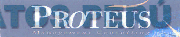 PROTEUS MANAGEMENT CONSULTING