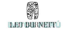 LEO BURNETT
