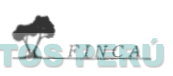 FINCA