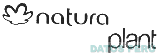NATURA PLANT