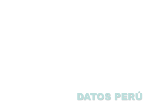 PANAMERICAN TRADING S.A.