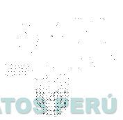 LA CASA DE LAS ALARMAS MAXI CAR