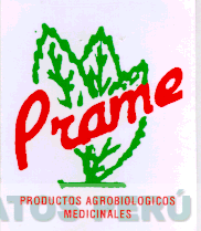 PRAME