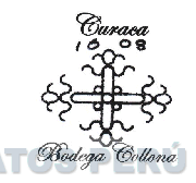 CURACA 1608 BODEGA COLLONA