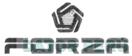 FORZA