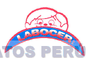 LABOCER S.A.