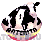 ANTEÑITA