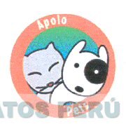 APOLO PETS