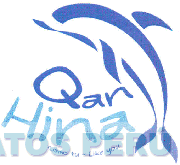 QAN HINA COMO TU - LIKE YOU
