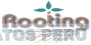 ROOTING