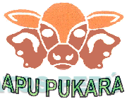 APU PUKARA