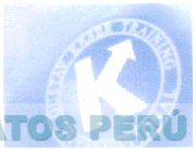 K GUSTAV KASER TRAINING INTERNATIONAL