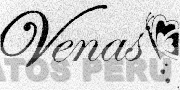 VENAS