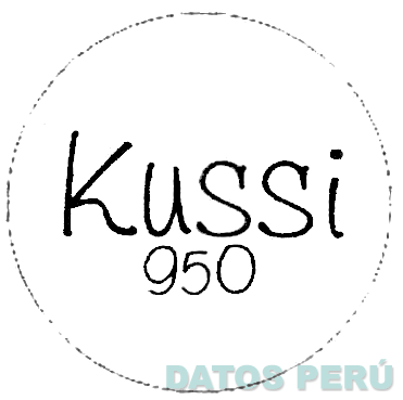 KUSSI 950