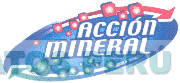 ACCION MINERAL