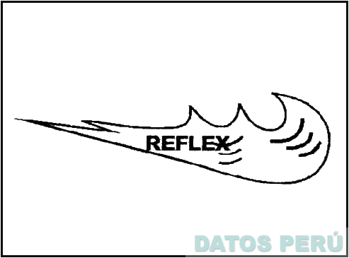 REFLEX