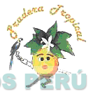 PRADERA TROPICAL