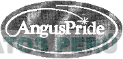 ANGUSPRIDE
