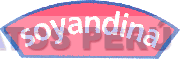 SOYANDINA