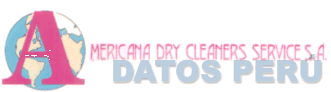 AMERICANA DRY CLEANERS SERVICE S.A.