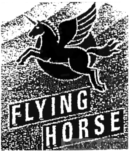 FLYING HORSE