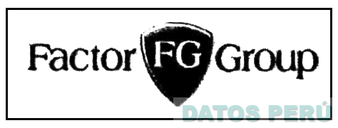 FG FACTOR GROUP