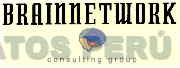 BRAINNETWORK CONSULTING GROUP