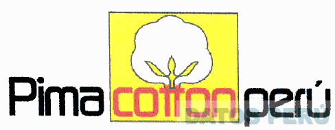 PIMA COTTON PERU