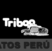 TRIBOO