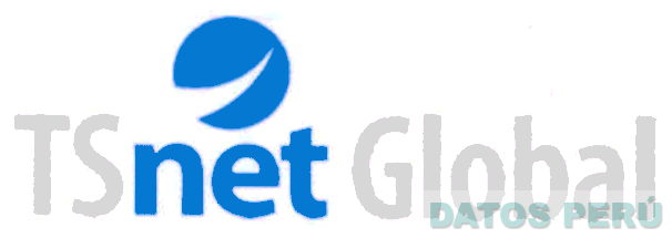 TS NET GLOBAL