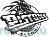 DETROIT PISTONS