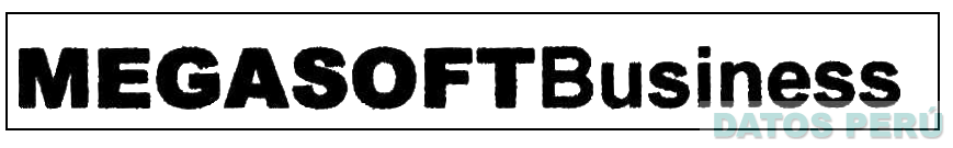 MEGASOFTBUSINESS
