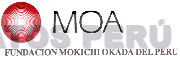 MOA FUNDACION MOKICHI OKADA DEL PERU