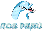 QUICK DOLPHIN