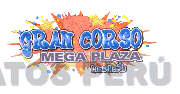 GRAN CORSO MEGA PLAZA LIMA NORTE