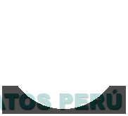 GESTRA