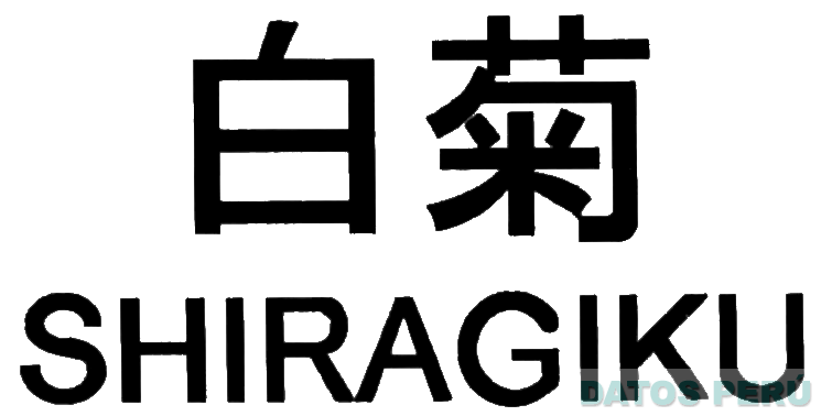 SHIRAGIKU