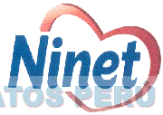 NINET