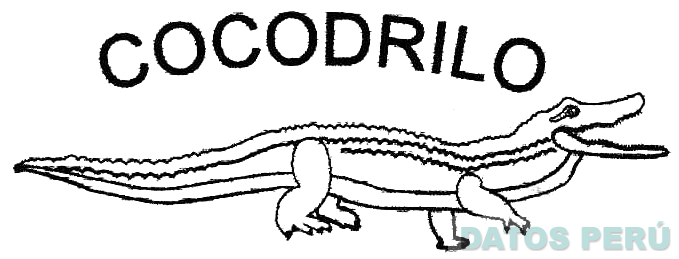 COCODRILLO