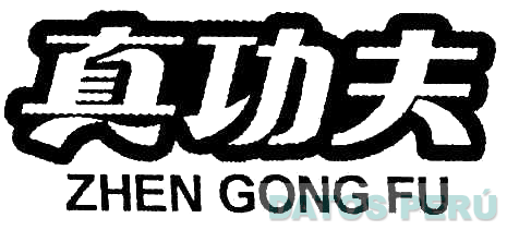 ZHEN GONG FU
